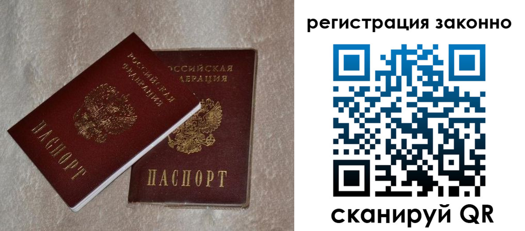 прописка законно в Борзе